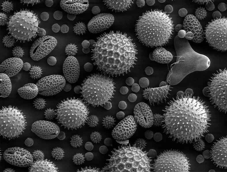 7CEE2E62-46F8-4FAF-A565-819C38464D32.jpeg